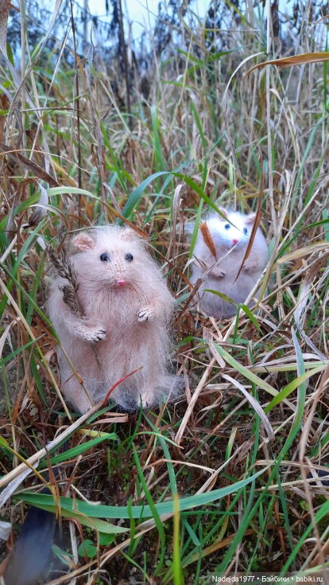 Новая работа хомячки — Вязаные игрушки и амигуруми: крючком (фото 5)