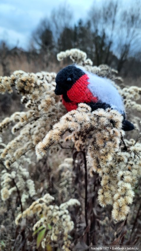 Новая работа снегирь... Люблю этих птичек (фото 3)
