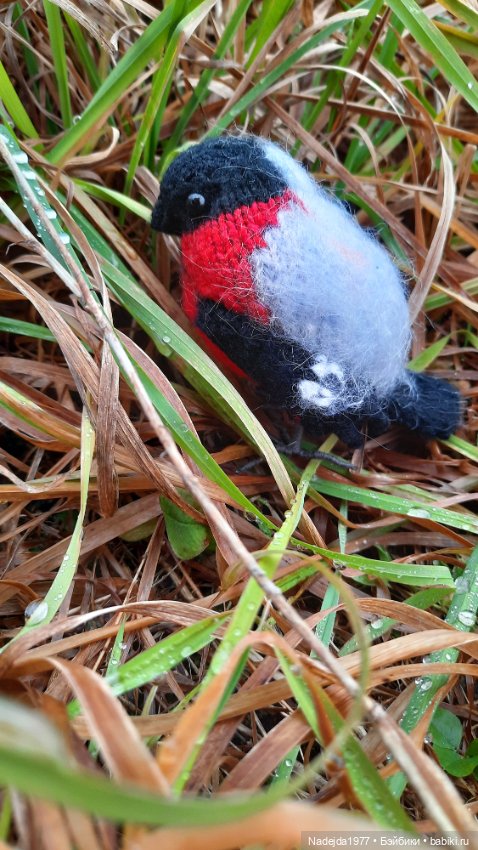 Новая работа снегирь... Люблю этих птичек (фото 10)