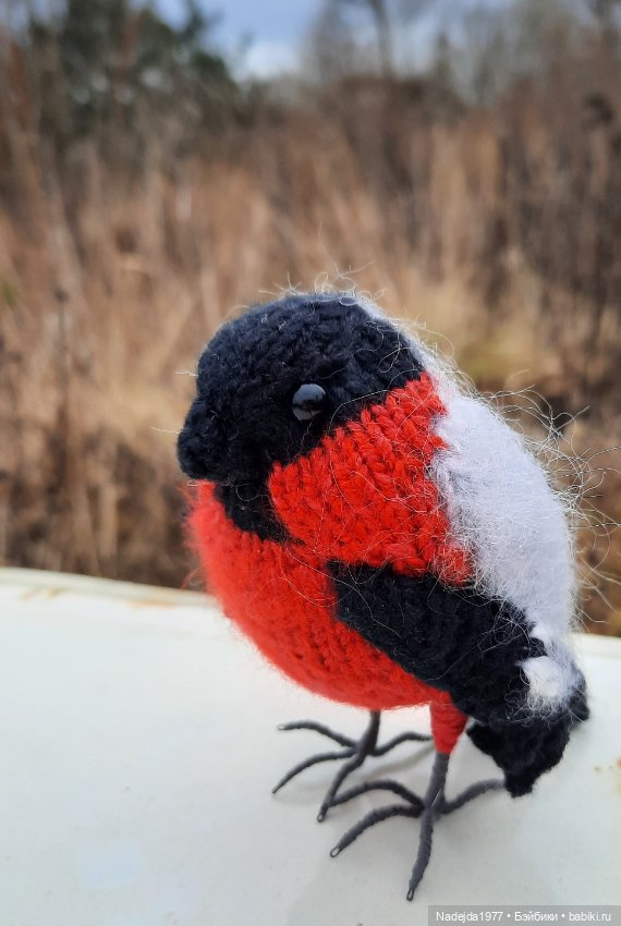 Новая работа снегирь... Люблю этих птичек (фото 8)