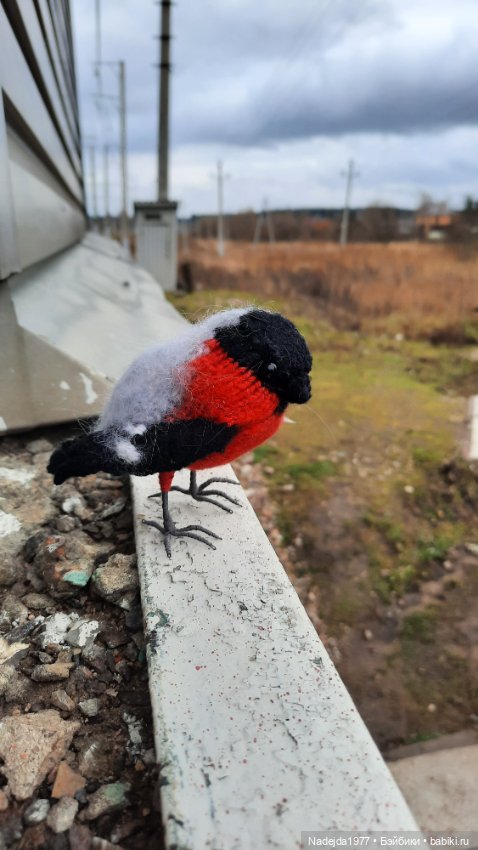 Новая работа снегирь... Люблю этих птичек