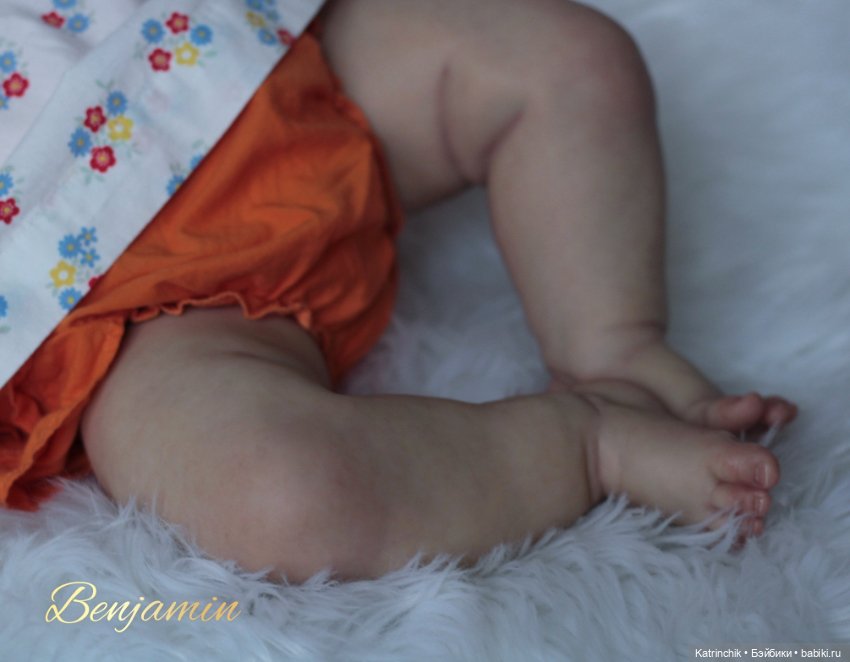 Малышка Benjamin. Работа Екатерины Усенко