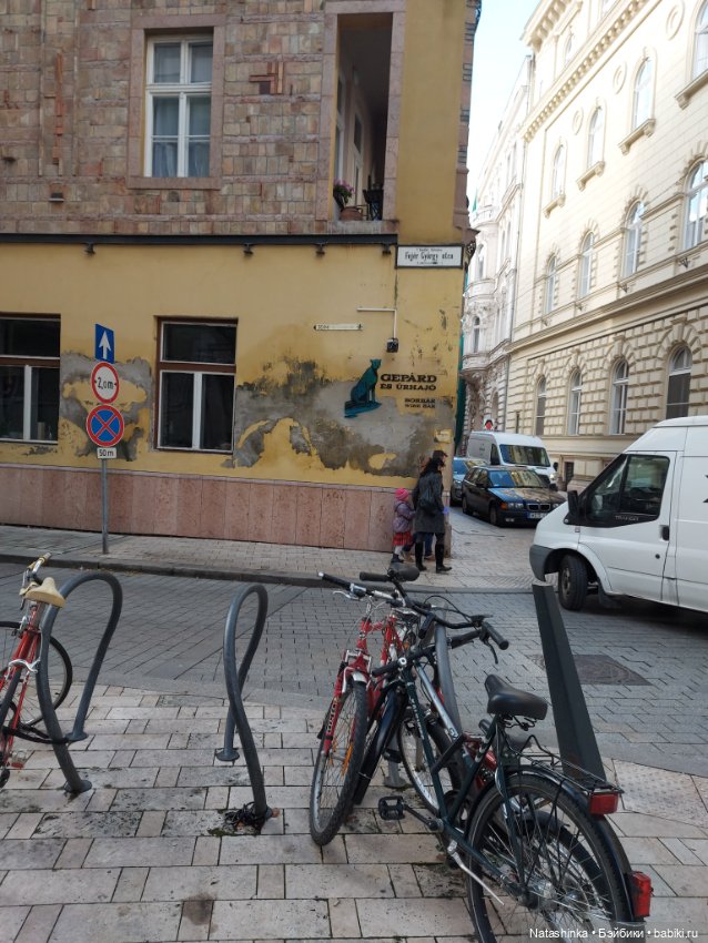 Fashion Dolls 291 — Туризм и путешествия: фотоотчеты из поездок