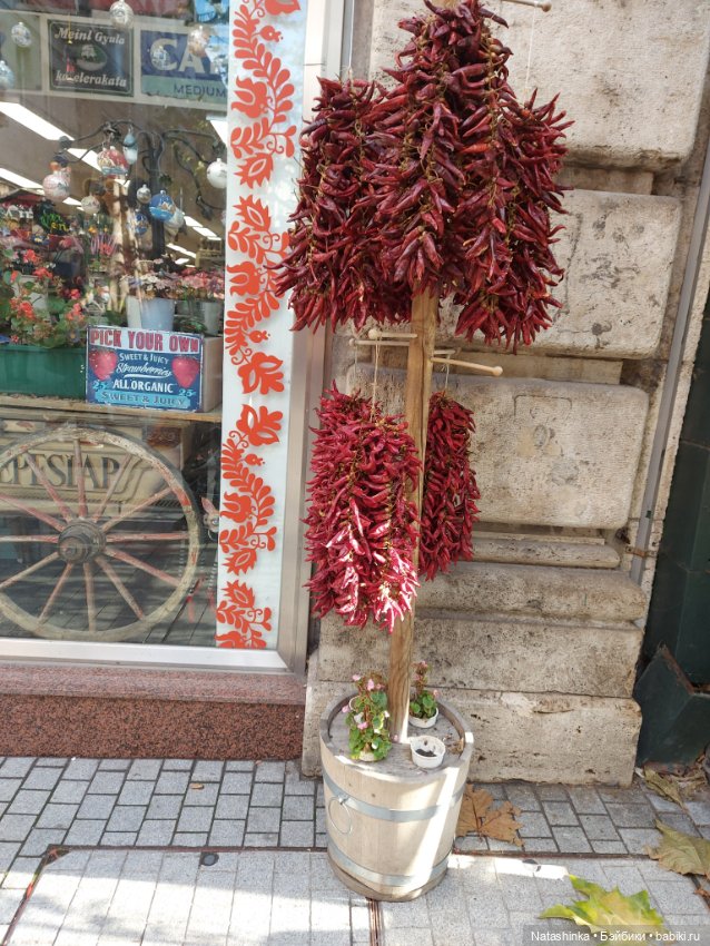 Fashion Dolls 291 — Туризм и путешествия: фотоотчеты из поездок (фото 10)