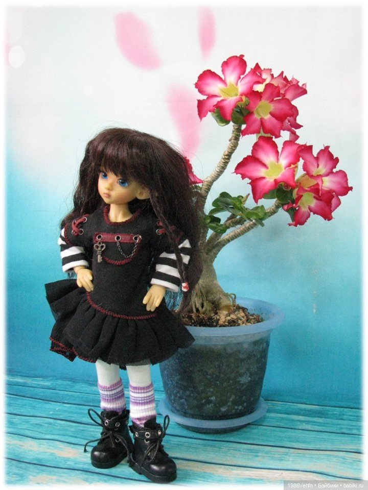 Малыши от Kaye Wiggs, которые живут у меня