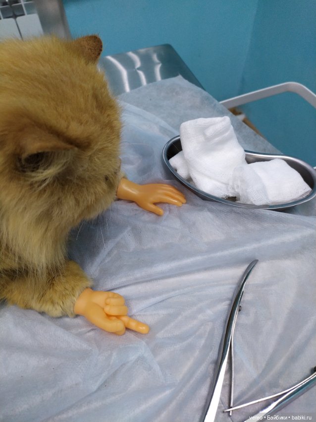 Котики — Болталка и разговоры обо всем: жизнь (фото 7)