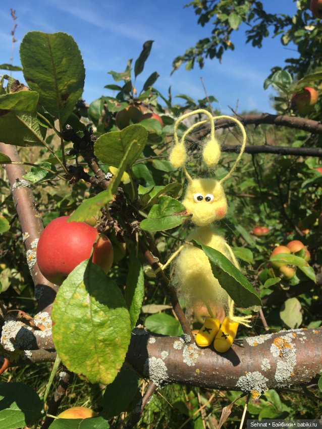 Букашечки — Домашние фото авторских игрушек: Тедди (фото 7)