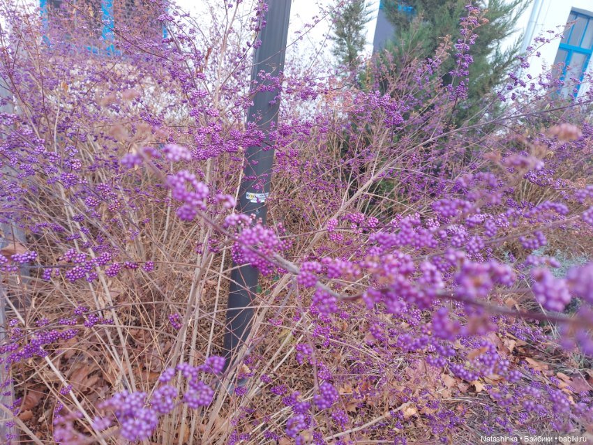 Fashion Dolls 292 — Туризм и путешествия: фотоотчеты из поездок