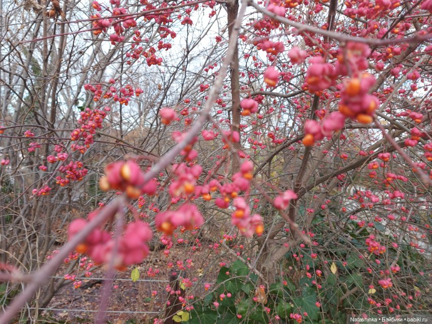 Fashion Dolls 292 — Туризм и путешествия: фотоотчеты из поездок