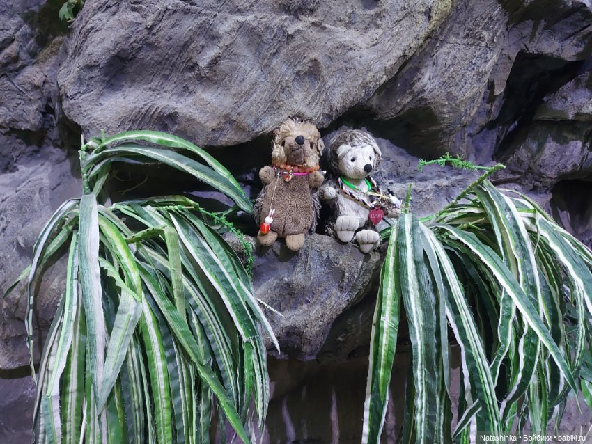 Fashion Dolls 292 — Туризм и путешествия: фотоотчеты из поездок (фото 2)