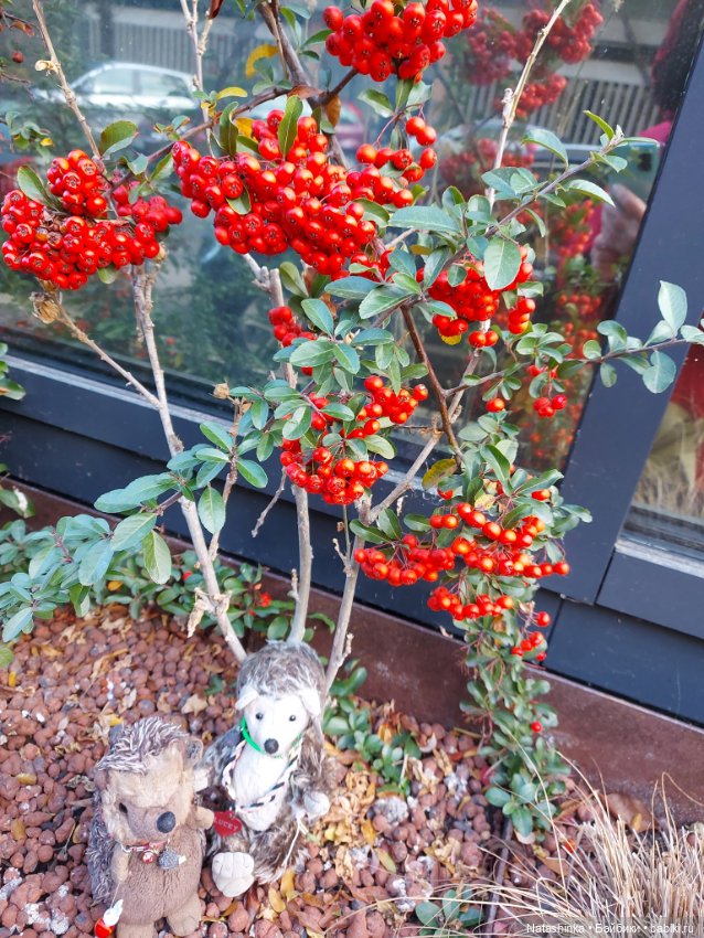 Fashion Dolls 292 — Туризм и путешествия: фотоотчеты из поездок (фото 4)