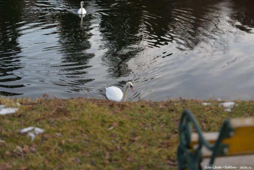 Новая малышка Victoria от Руби Ред