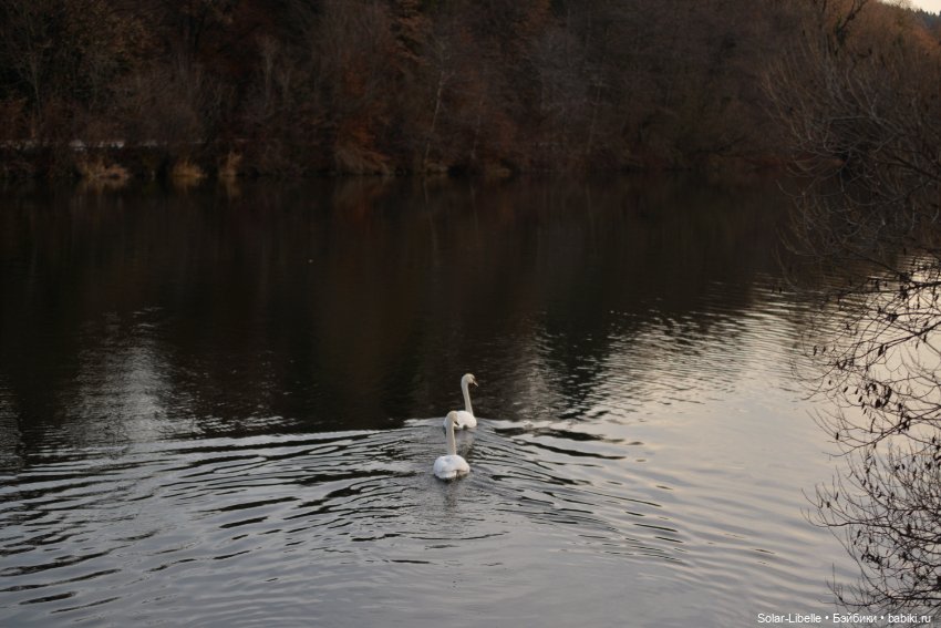 Новая малышка Victoria от Руби Ред