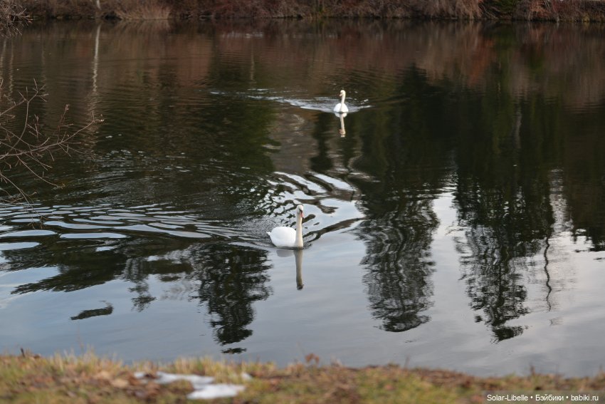 Новая малышка Victoria от Руби Ред