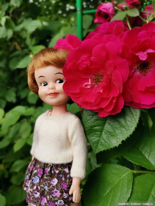 И снова Пенни. И снова лето и цветы...🌼🌼🌼 (фото 5)