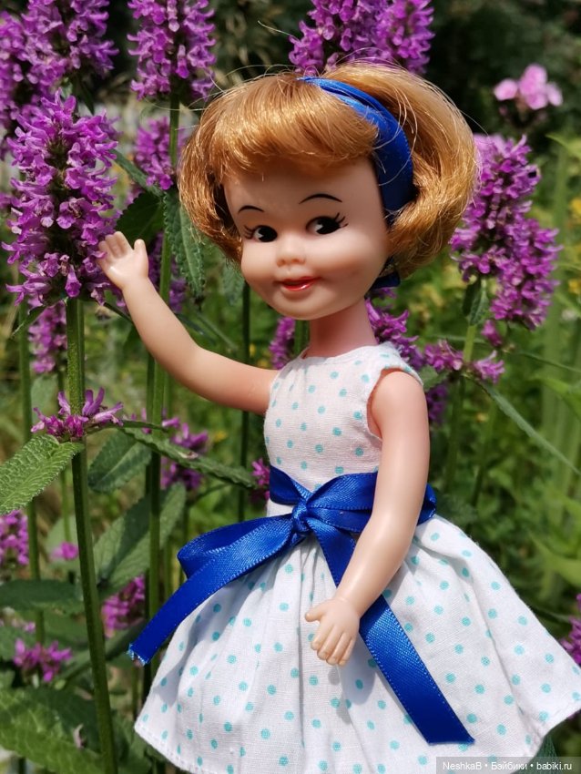 И снова Пенни. И снова лето и цветы...🌼🌼🌼 (фото 3)