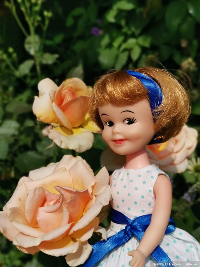 И снова Пенни. И снова лето и цветы...🌼🌼🌼 (фото 6)