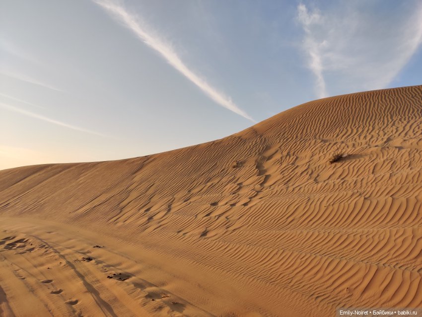 Мама, я в Дубае! (Часть 4: Вечер в пустыне) (фото 7)