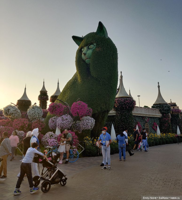 Мама, я в Дубае! (Часть 3: Очень много цветов) (фото 6)