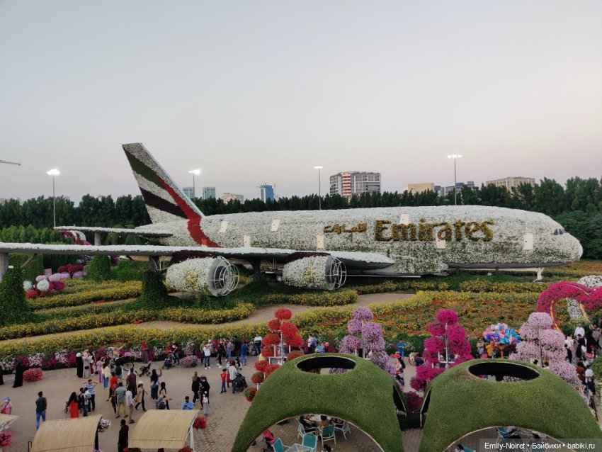 Мама, я в Дубае! (Часть 3: Очень много цветов) (фото 7)