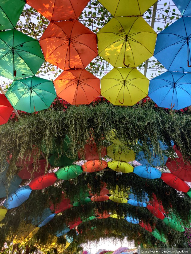 Мама, я в Дубае! (Часть 3: Очень много цветов) (фото 10)