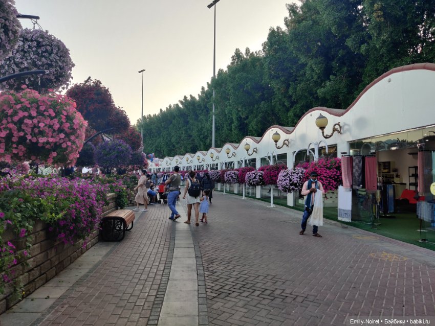 Мама, я в Дубае! (Часть 3: Очень много цветов)