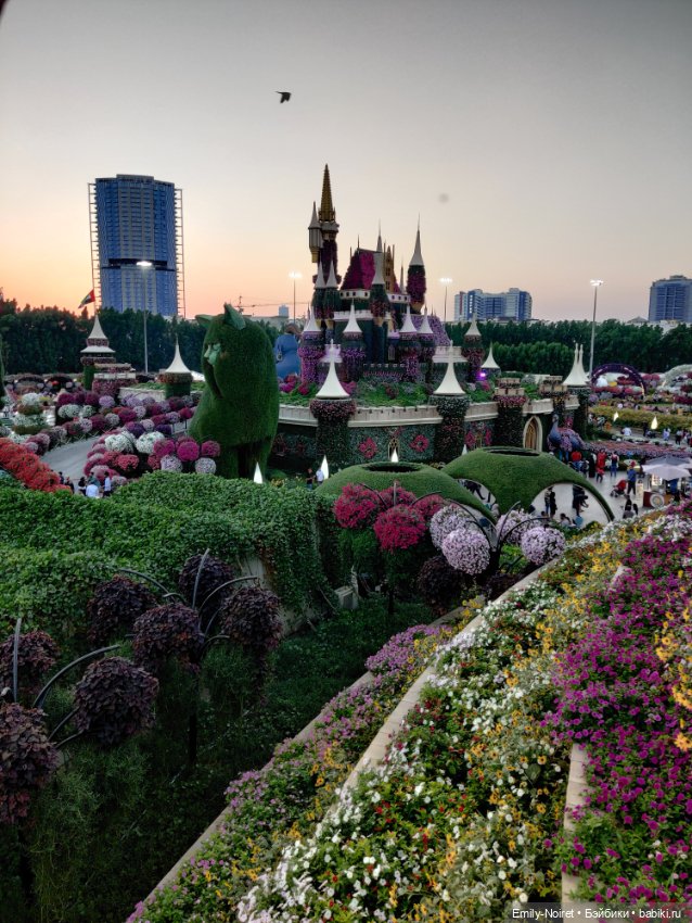 Мама, я в Дубае! (Часть 3: Очень много цветов) (фото 4)