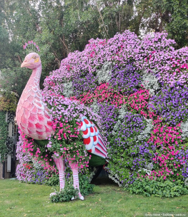 Мама, я в Дубае! (Часть 3: Очень много цветов)