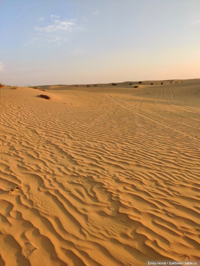 Мама, я в Дубае! (Часть 4: Вечер в пустыне) (фото 8)