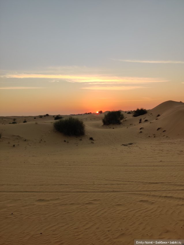 Мама, я в Дубае! (Часть 4: Вечер в пустыне) (фото 10)