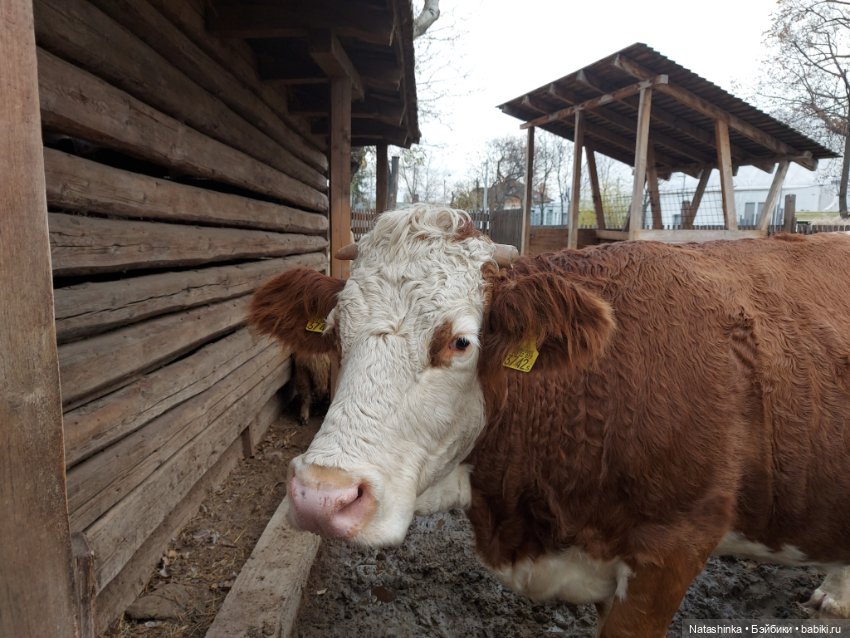 Fashion Dolls 293 — Туризм и путешествия: фотоотчеты из поездок