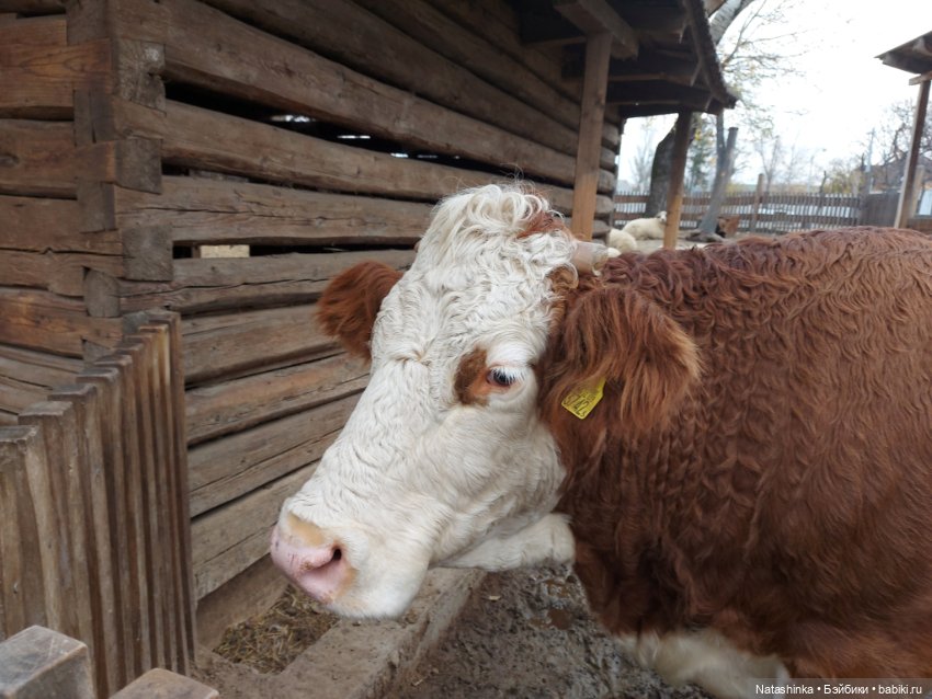 Fashion Dolls 293 — Туризм и путешествия: фотоотчеты из поездок