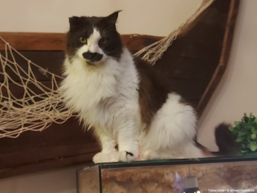 Fashion Dolls 293 — Туризм и путешествия: фотоотчеты из поездок (фото 6)