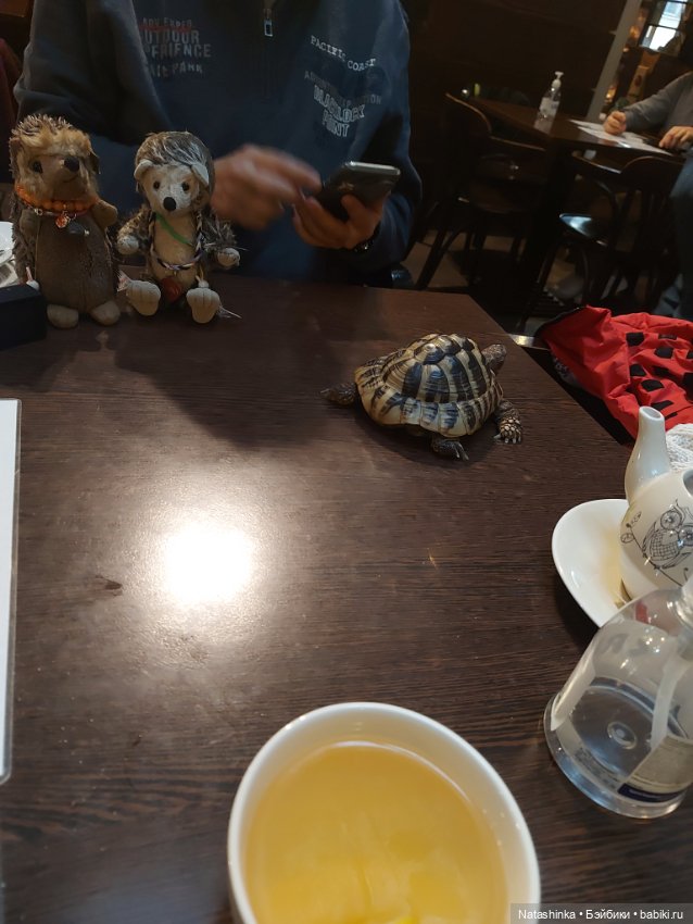 Fashion Dolls 293 — Туризм и путешествия: фотоотчеты из поездок (фото 4)