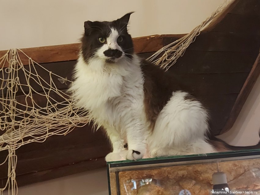 Fashion Dolls 293 — Туризм и путешествия: фотоотчеты из поездок (фото 7)