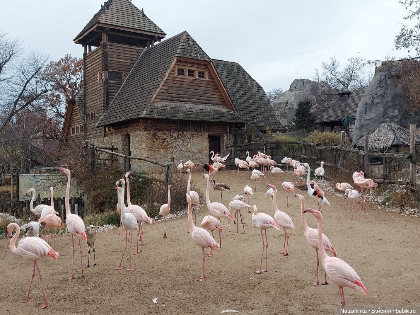 Fashion Dolls 293 — Туризм и путешествия: фотоотчеты из поездок (фото 10)