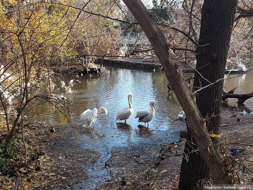 Fashion Dolls 293 — Туризм и путешествия: фотоотчеты из поездок (фото 3)