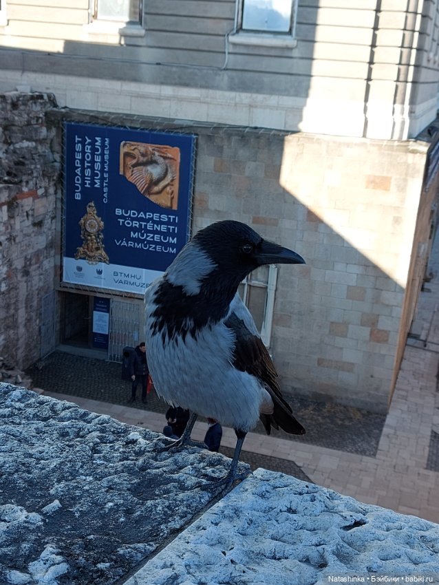 Fashion Dolls 293 — Туризм и путешествия: фотоотчеты из поездок (фото 9)