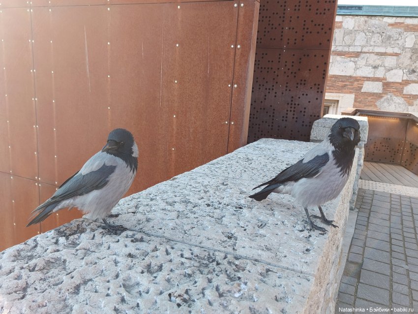 Fashion Dolls 293 — Туризм и путешествия: фотоотчеты из поездок (фото 8)