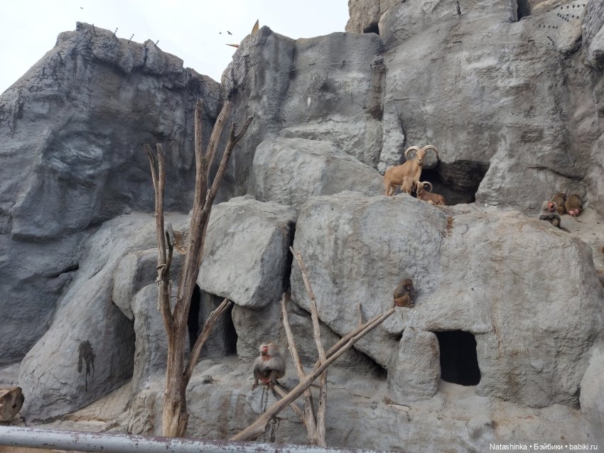 Fashion Dolls 293 — Туризм и путешествия: фотоотчеты из поездок