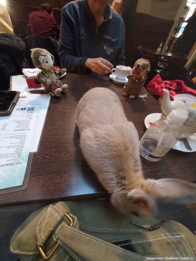 Fashion Dolls 293 — Туризм и путешествия: фотоотчеты из поездок (фото 5)