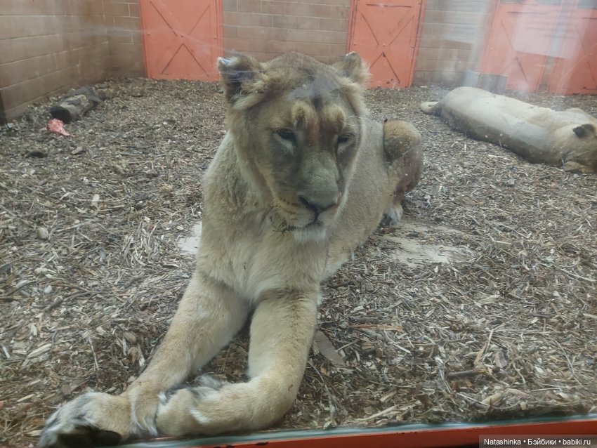 Fashion Dolls 293 — Туризм и путешествия: фотоотчеты из поездок