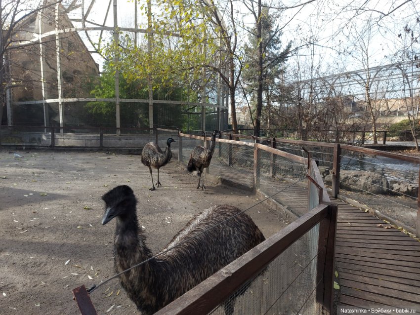 Fashion Dolls 293 — Туризм и путешествия: фотоотчеты из поездок (фото 2)