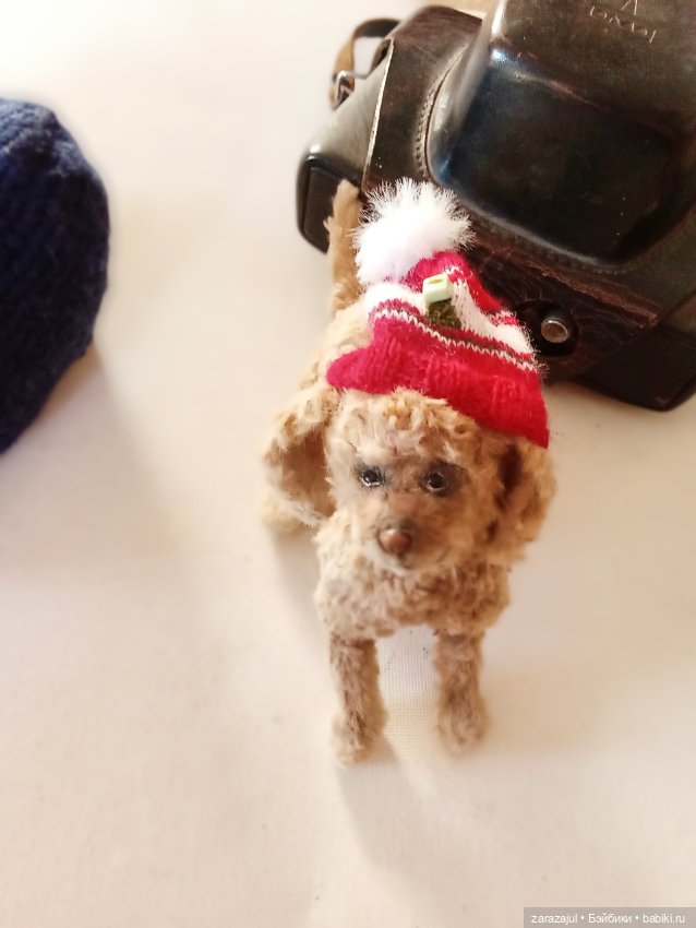 Айка и новенький - просто так (фото 3)