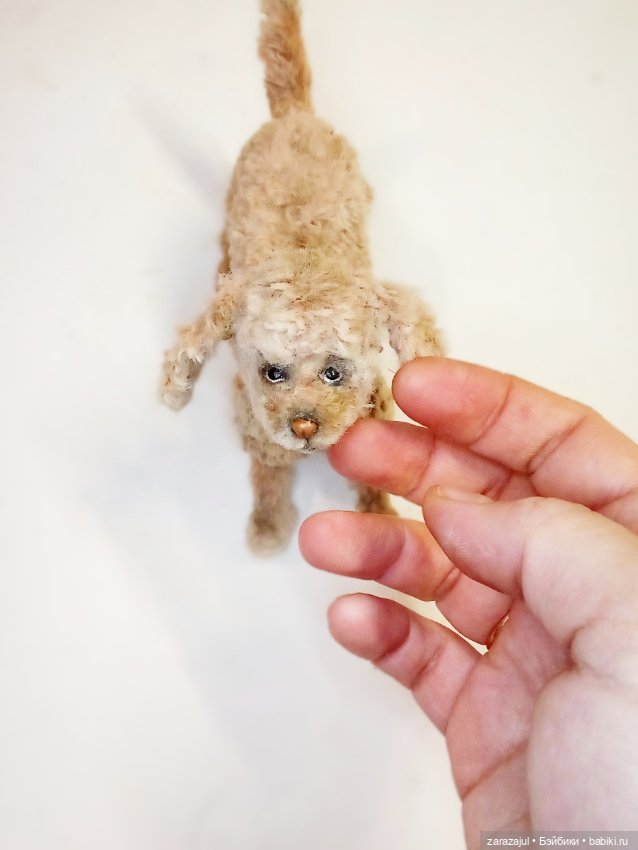 Айка и новенький - просто так (фото 4)