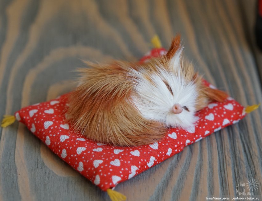 Heidi Plusczok Liesel 2010 (3/110) (фото 5)