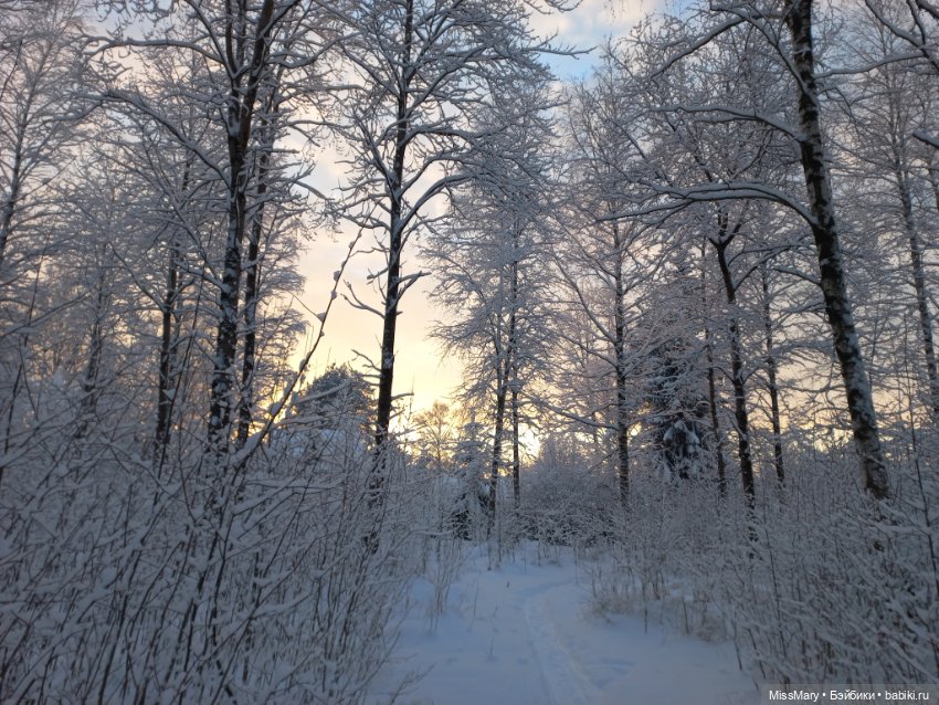Волшебство на землю опустилось