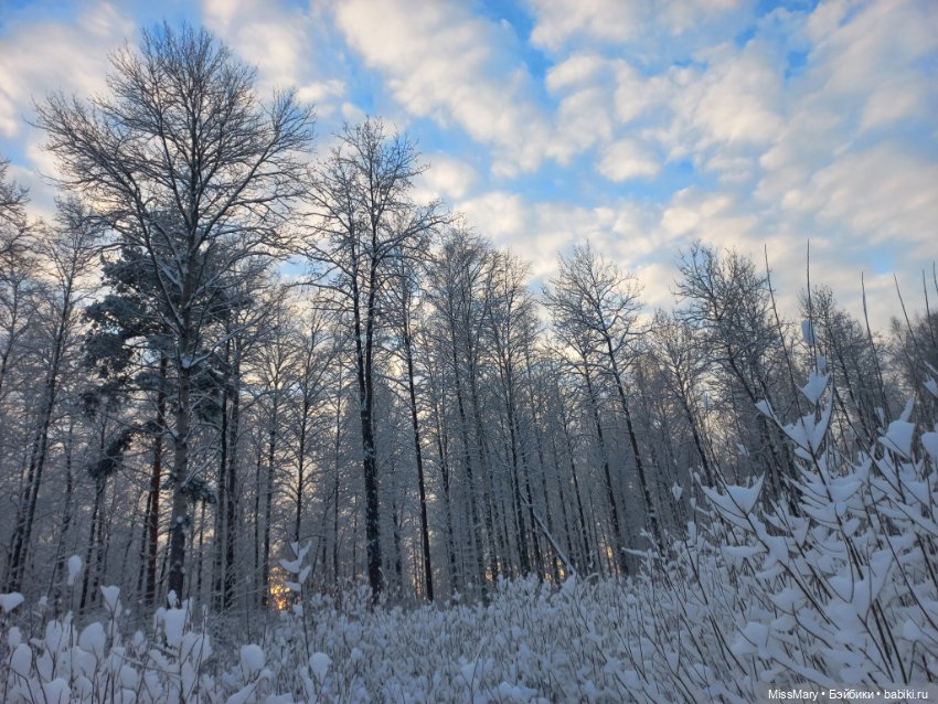 Волшебство на землю опустилось