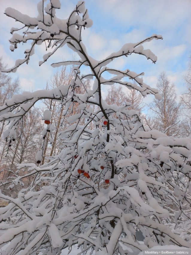 Волшебство на землю опустилось