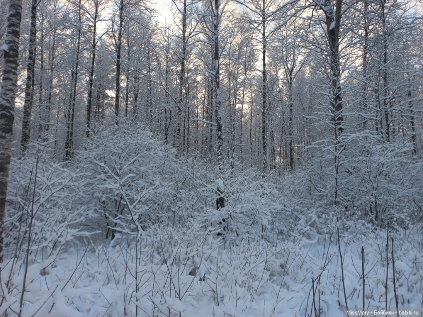 Волшебство на землю опустилось